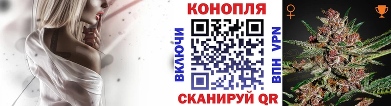 Где продают наркотики Богородицк Alpha-PVP  КОКАИН  ГАШ  Марихуана 
