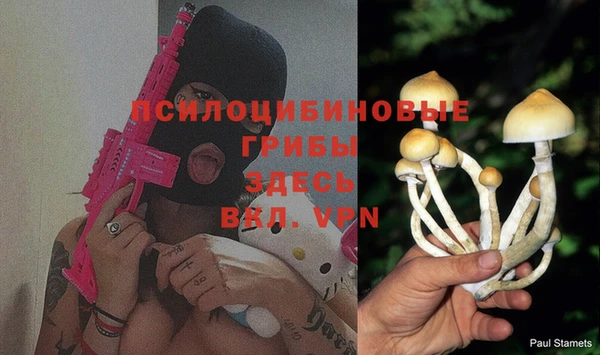 MESCALINE Ельня