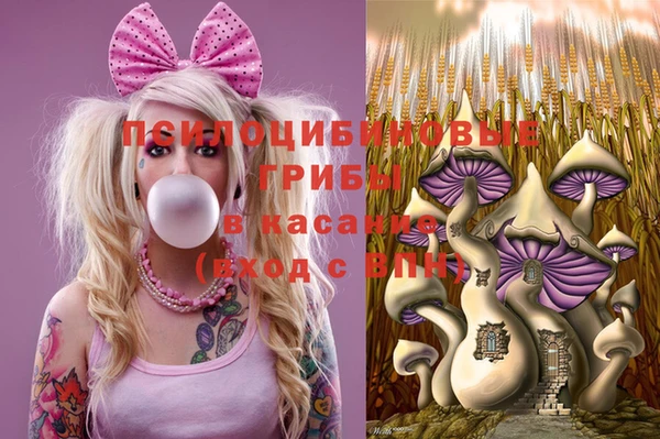 скорость Елизово