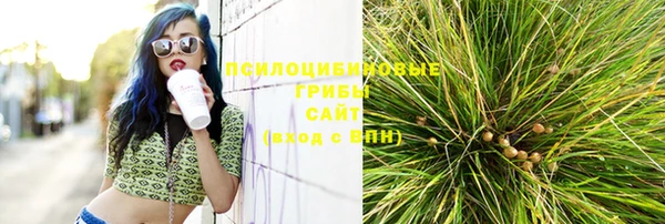 тгк Заволжск
