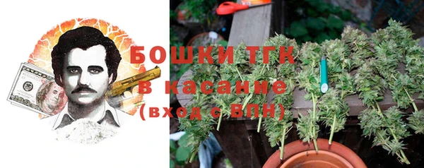 прущая мука Елабуга