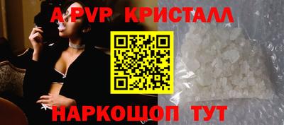 СК Апшеронск