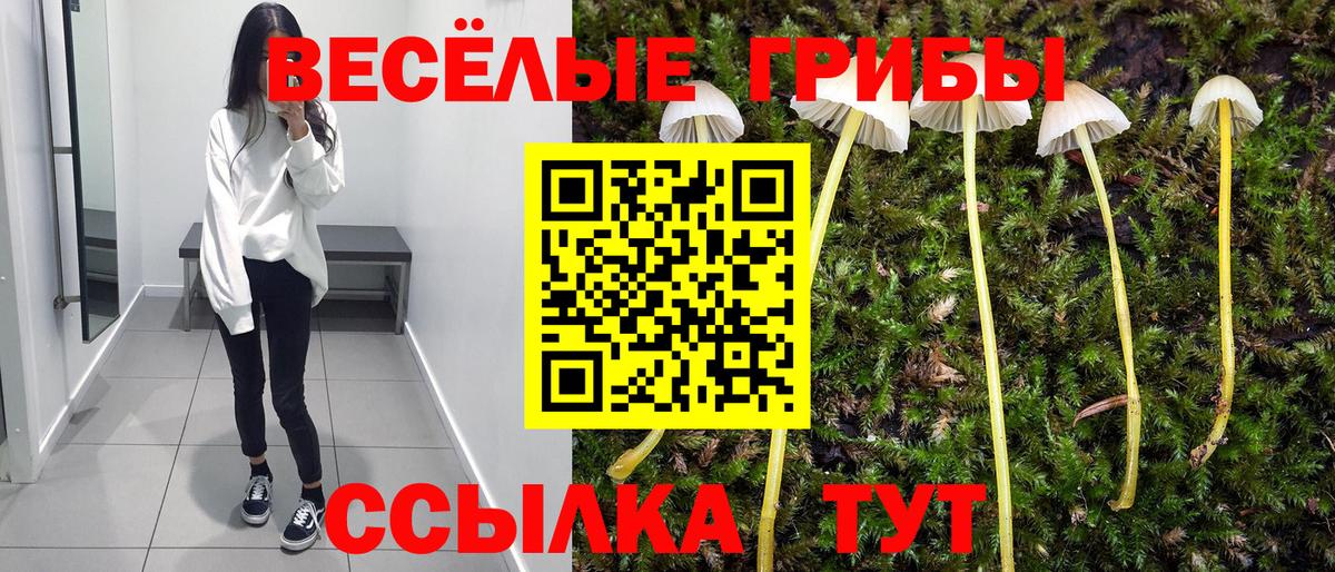 Псилоцибиновые грибы GOLDEN TEACHER Богородицк