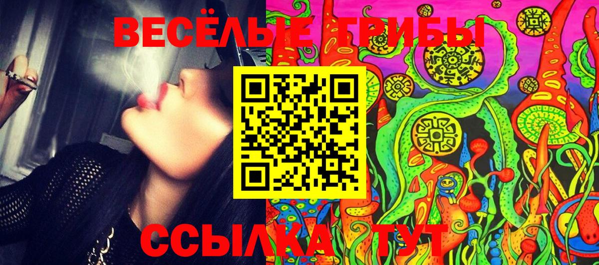 Псилоцибиновые грибы Cubensis Богородицк