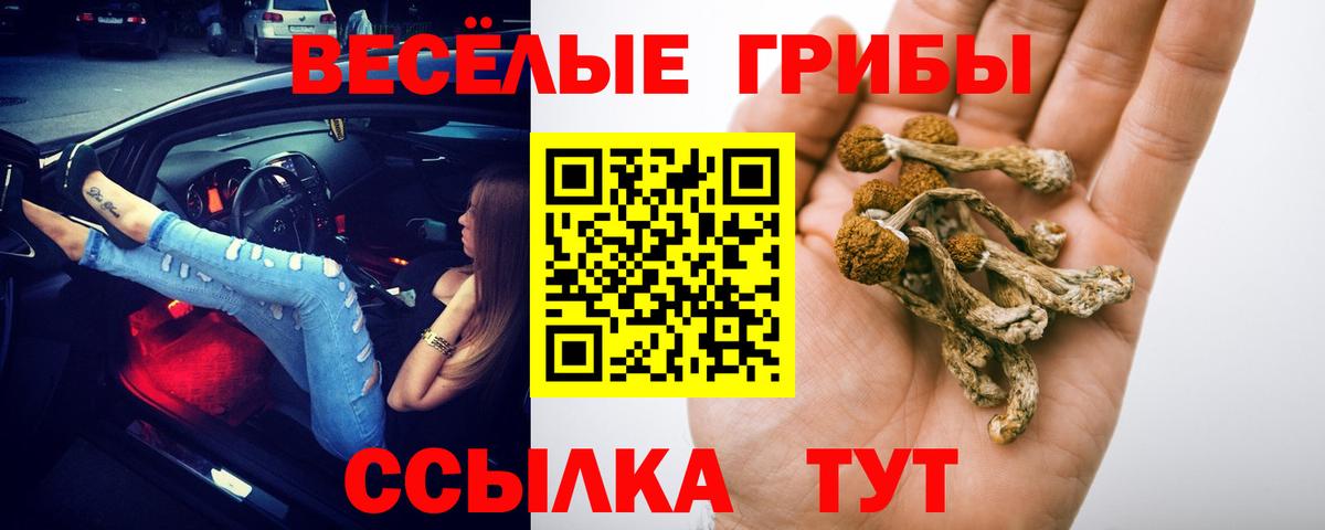 Галлюциногенные грибы MAGIC MUSHROOMS  Галлюциногенные грибы мухоморы  Вход с VPN  Богородицк 